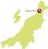 瀬波