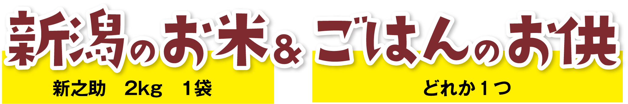 ギャラリーフォト1