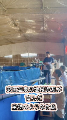 月岡温泉 摩周　番外編 湯宝サーモン取材