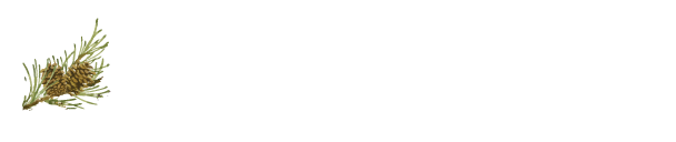 にいがた地酒の宿